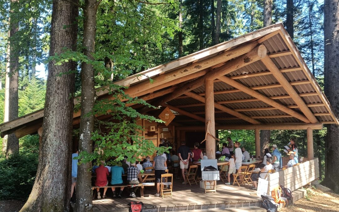 «Reichtum kann uns nicht schützen – und eine 100er Note nur wenig Schatten spenden»